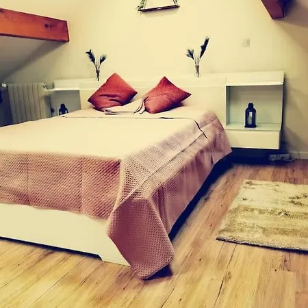 Chaleureuse Maisonnette Lyon בית נופש